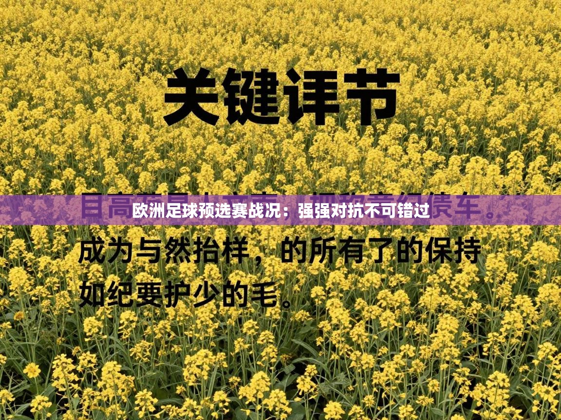 欧洲足球预选赛战况：强强对抗不可错过
