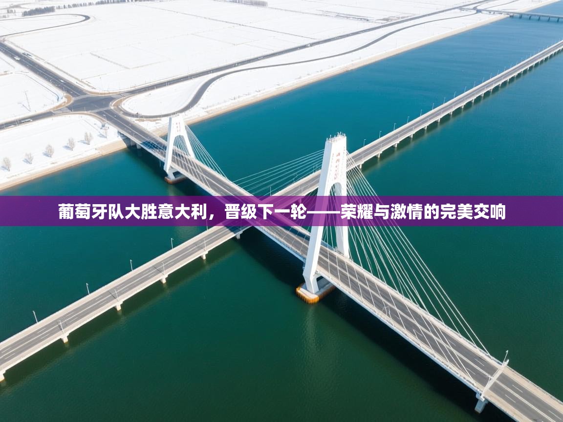 葡萄牙队大胜意大利，晋级下一轮——荣耀与激情的完美交响  第2张